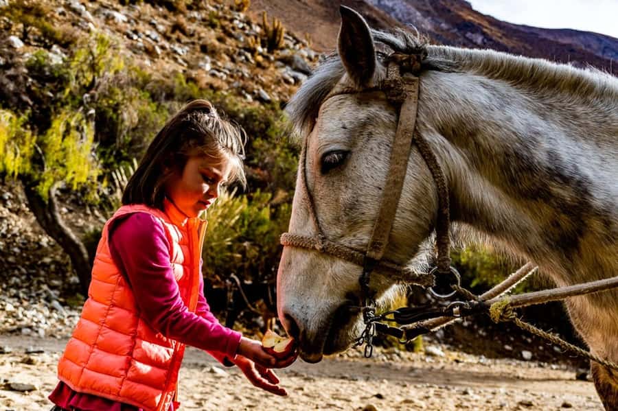 Cochiguaz: Horseback Riding, River and Mountain Range - Starting at the Cochiguaz stable