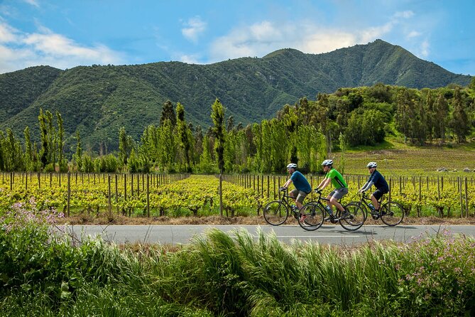 Colchagua Full day Luxury wine tour - Viña Montes and the Premium tasting
