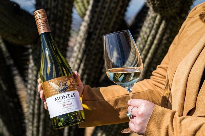 Colchagua Full day Luxury wine tour - Clos Apalta or Koyle: clarify this stop first