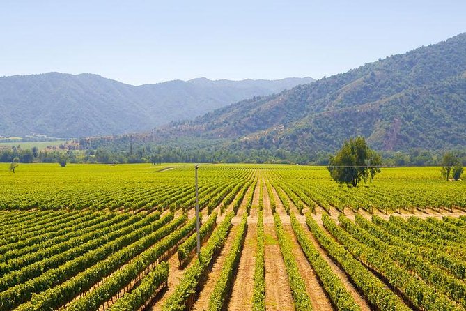 Colchagua Full Day Wine Tour: Casa Silva & L'Apostolle Wineries - Key things to know before booking
