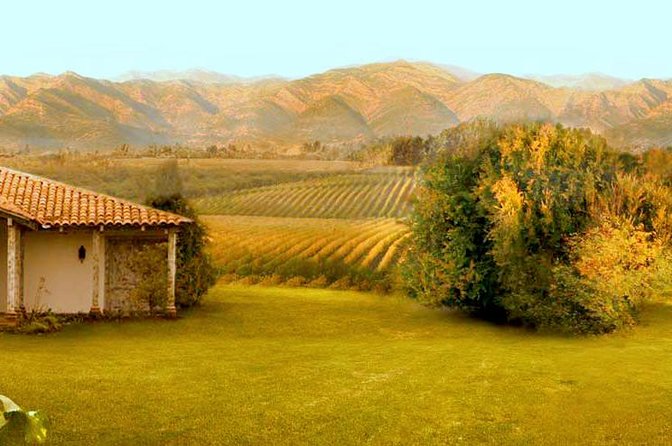 Colchagua Full Day Wine Tour: Casa Silva & L'Apostolle Wineries - Casa Silva: three wines and a more traditional feel