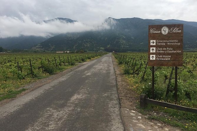 Colchagua Valley - Why Colchagua makes a worthwhile day trip