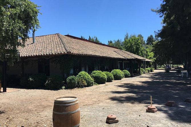 Colchagua Valley - Four hours among Colchagua vineyards
