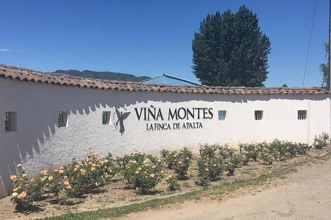Colchagua Valley - Two wineries, lunch, and the Santa Cruz option