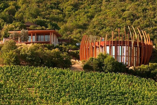 Colchagua Valley Experience - Why Colchagua works as a day trip from Santiago
