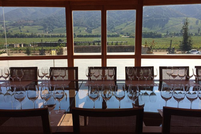 Colchagua Valley Experience - Lunch, pacing, and the shape of the day
