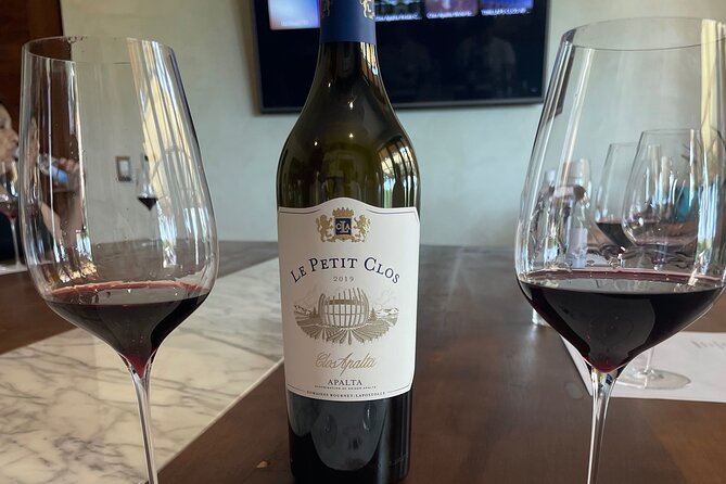 Colchagua Valley Private Tour: Montes + Clos Apalta - A private vehicle changes the feel of a long wine day