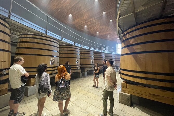 Colchagua Valley Private Tour: Montes + Clos Apalta - Who will enjoy this tour most?