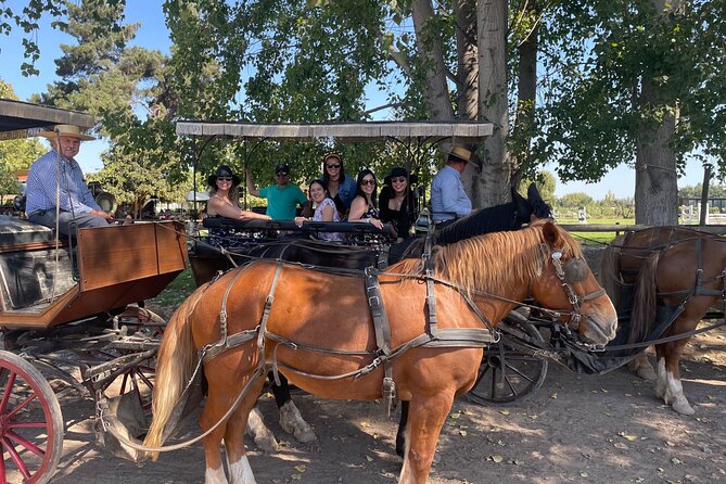Colchagua Valley Private Tour: Montes + Clos Apalta - Viña Montes, Feng Shui, and Gregorian chants