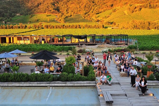 Colchagua Valley Viñas Viu Manet and Montes Alfha - Who will enjoy this Colchagua tour most