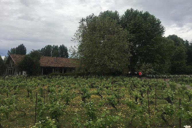 Colchagua Valley - Passing through Maipo and Cachapoal