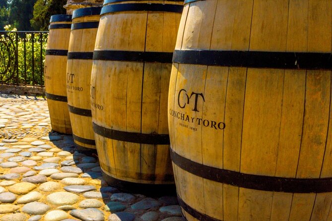 Concha y Toro Vineyard - The guided tour, projections, and Casillero del Diablo