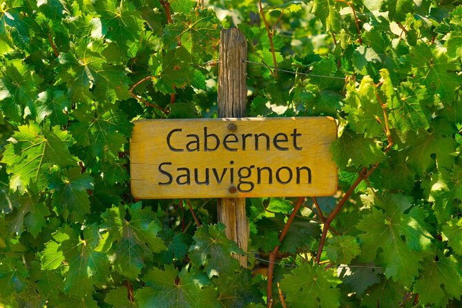 Concha y Toro Vineyard - Three tastings and the pace of the wine service