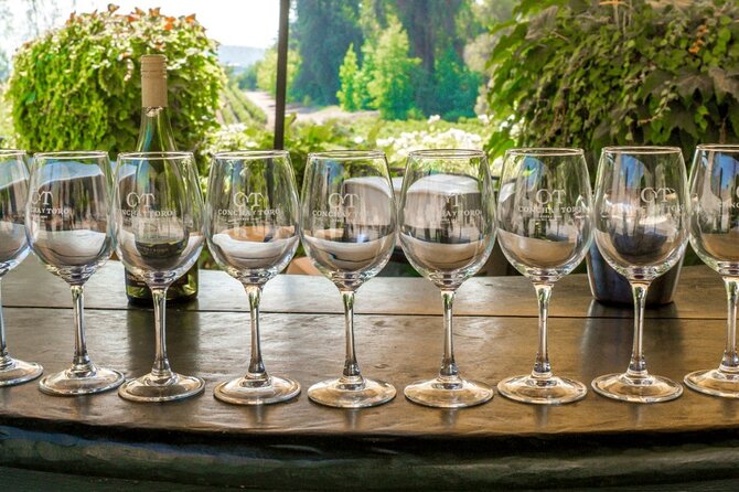 Concha y Toro Vineyard - Who will enjoy this half-day outing?