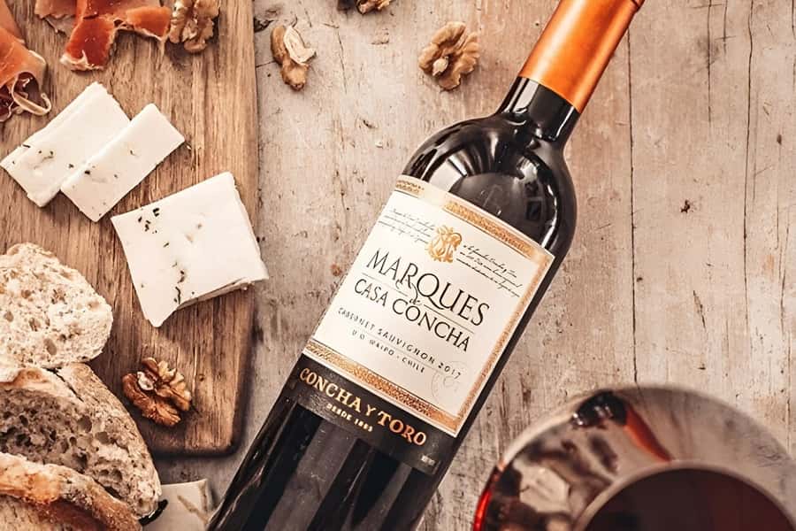 Concha y Toro Vineyard (Marques Tour) - From Santiago to Pirque in about an hour