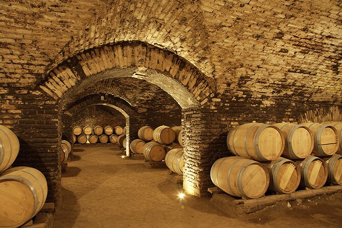 Concha y toro vineyard tour - Walking Through the Estate Grounds