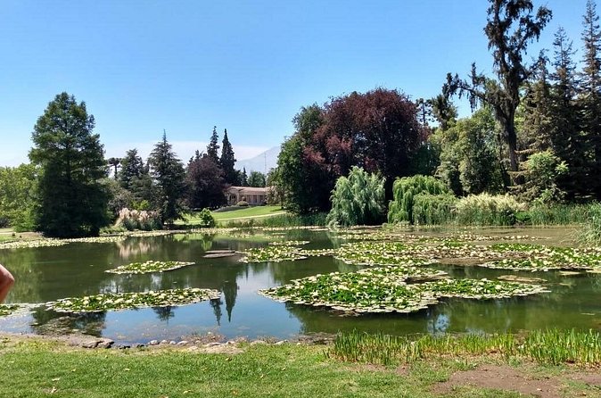 Concha y toro vineyard tour - Is the $118.43 Price Worth It?