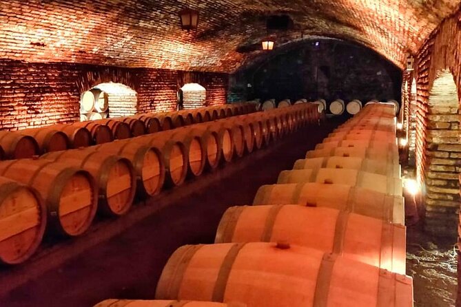 Concha y Toro Vineyard Tour From Santiago - Walking through the family gardens