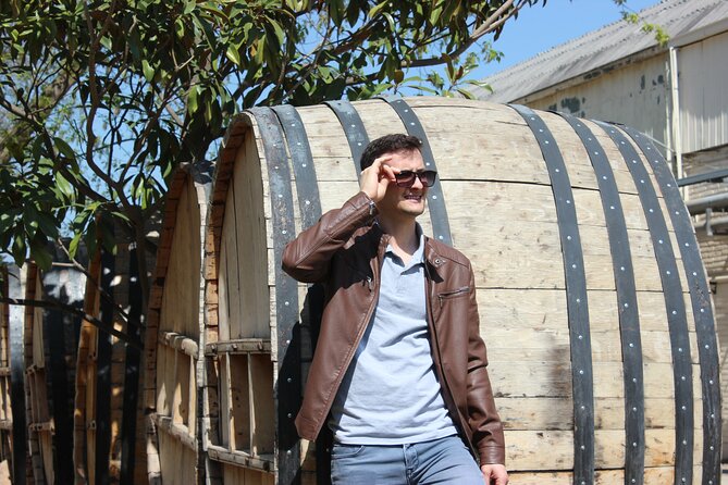 Concha y Toro Vineyard Traditional Tour - Practical advice for a smoother day