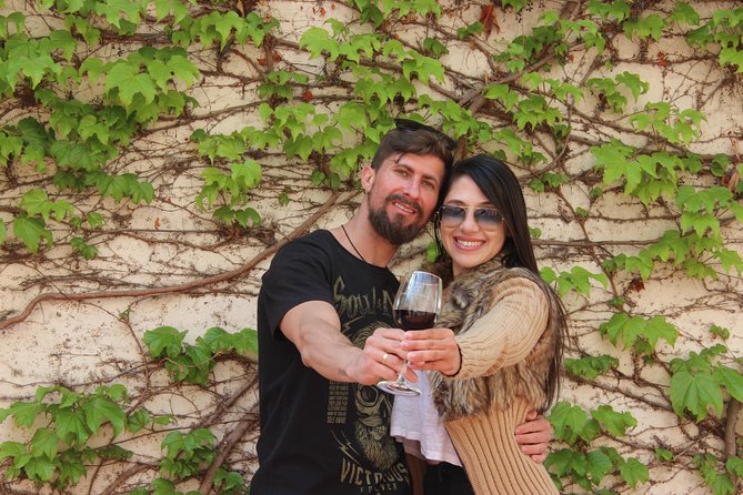 Concha y Toro Vineyard Traditional Tour - The two-hour walk through Concha y Toro