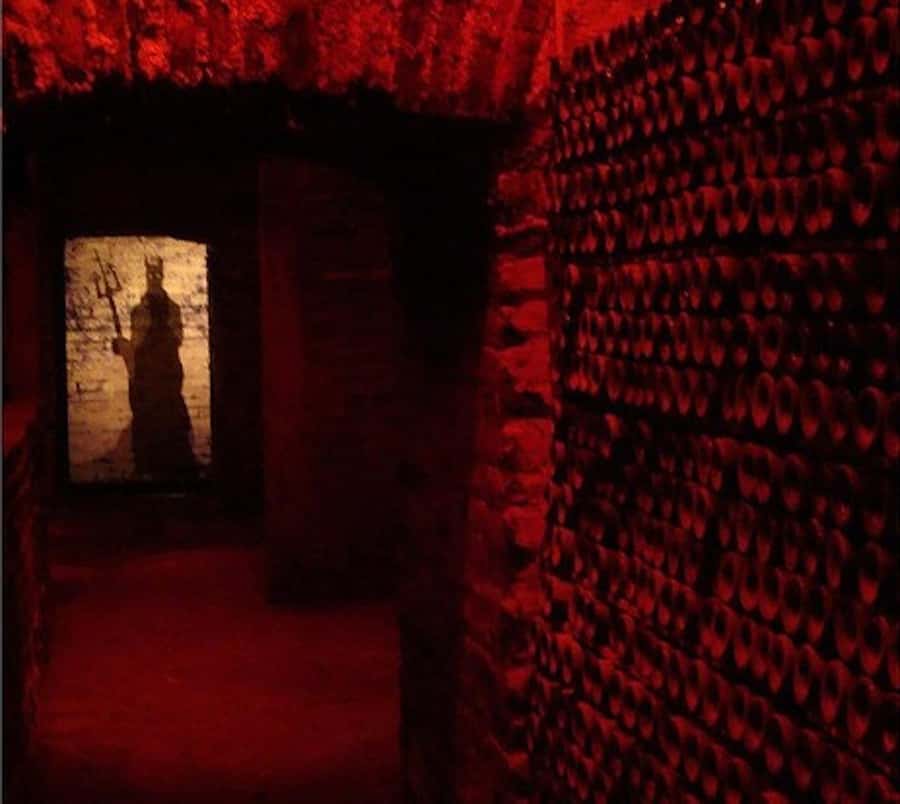 Concha y toro Wine tour - Key Things to Know Before You Go