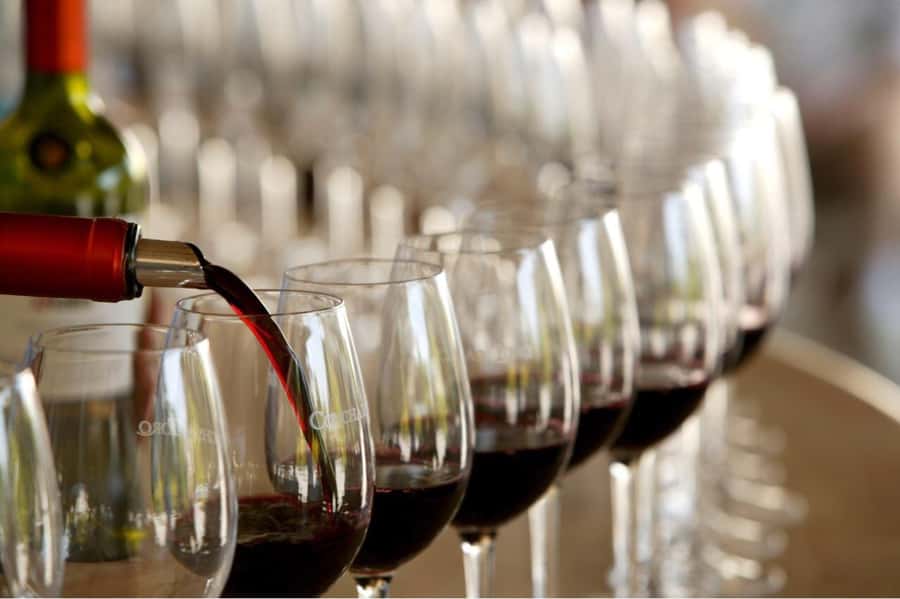 Concha y toro Wine tour - Why Concha y Toro Makes a Good Santiago Side Trip