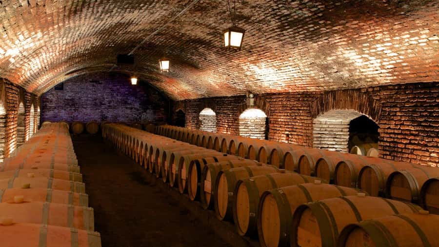 Concha y Toro Wine Tour with Dinner at the Winery - Key points to know before booking