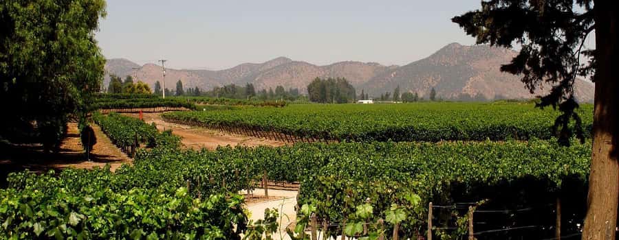 CONCHA Y TORO WINERY - TOUR : CHILE - The patronal house and Concha y Toro’s past