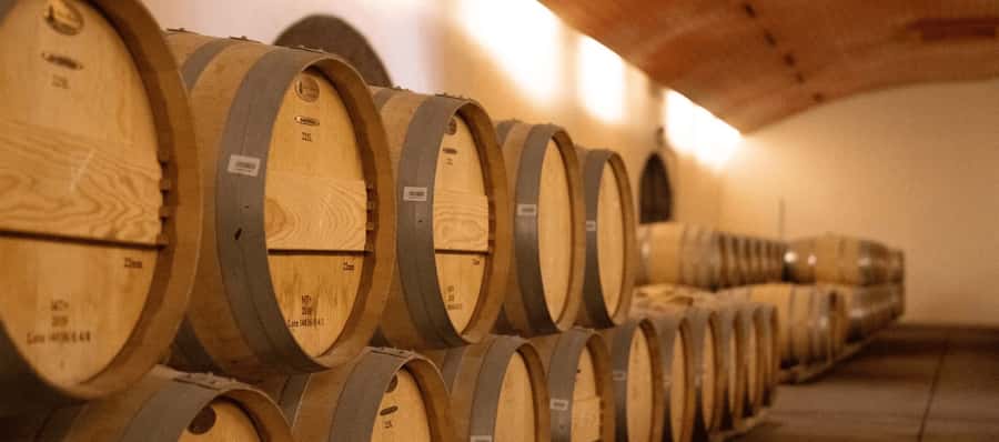 CONCHA Y TORO WINERY - TOUR : CHILE - Small-group transport and guide languages