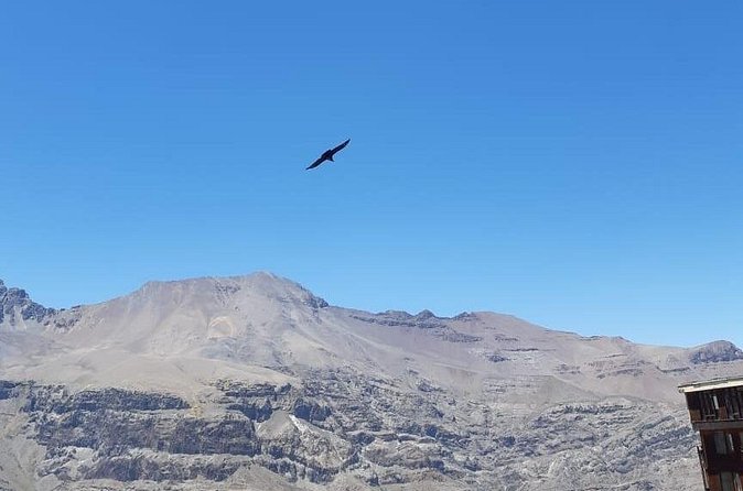 Condor watching tour at the Andes + Artisan Village in Santiago - Lunch at Valle Nevado, or waiting for later