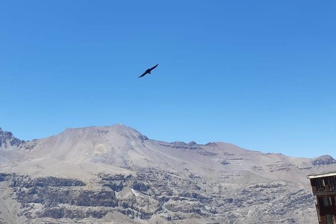 Condor watching tour at the Andes + Artisan Village in Santiago - What the $117.34 price really covers