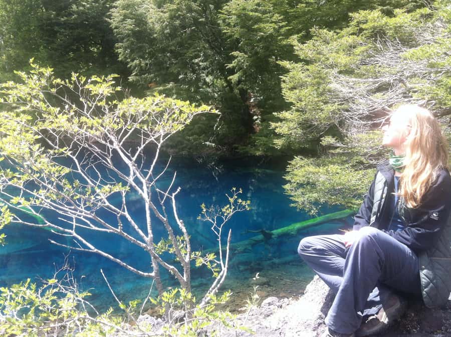 Conguillío National Park Tour, Full day - The Spanish guide and the language question