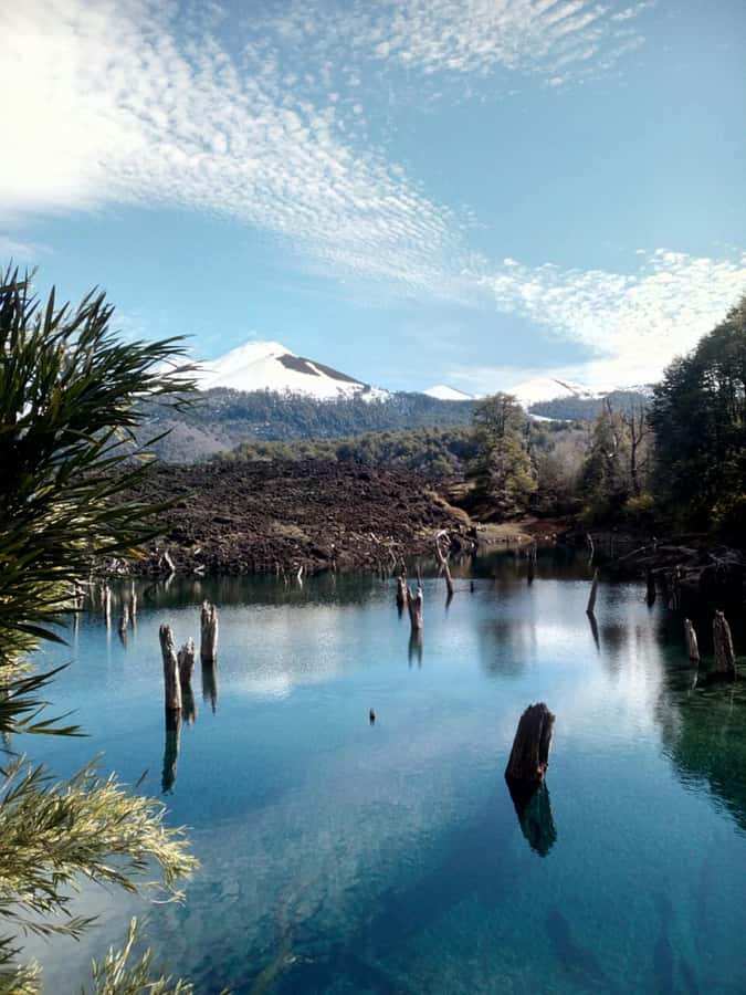 Conguillío National Park Tour, Full day - Is $340 good value for the private day?