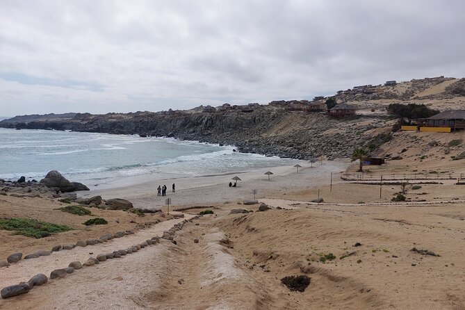 Costa DE Desierto Atacama : La Serena-Llanos del Challe-Pan de Azucar - Huasco, olives, and the desert coast