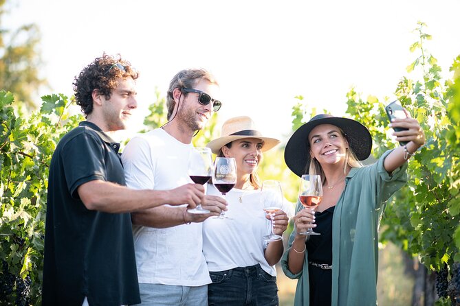 Cousino Macul Private Vineyard Tour with 6 Wine Tastings - Key points to know before booking