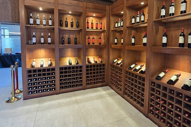 Cousino Macul Private Vineyard Tour with 6 Wine Tastings - A private ride from three Santiago neighborhoods