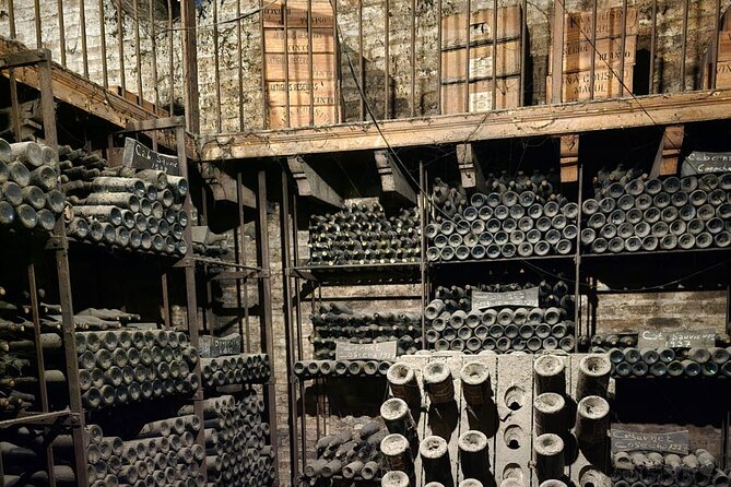 Cousino Macul Private Vineyard Tour with 6 Wine Tastings - Pairings, pacing, and the limits of the meal