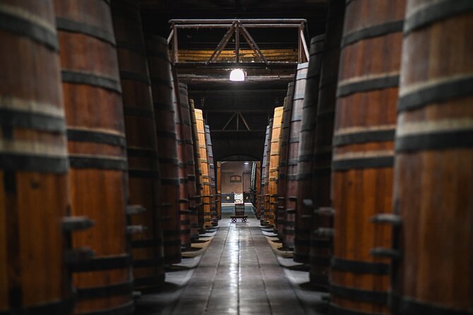 Cousino Macul Private Vineyard Tour with 6 Wine Tastings - Time to browse and take home a useful souvenir