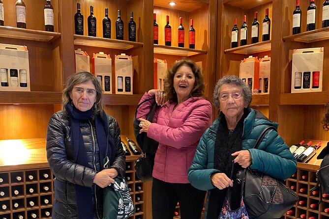 Cousiño Macul Vineyard and Bahai Temple Cultural Tour with Wine - Views across Santiago and the mountain range