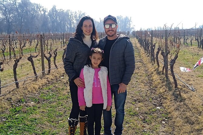 Cousiño Macul Vineyard - Maipo Valley - Premium Tasting - HD - Why Cousiño Macul works so well from Santiago
