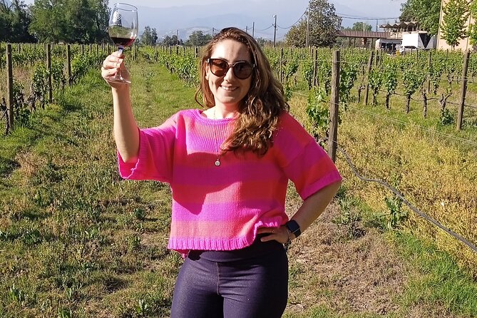 Cousiño Macul Vineyard - Maipo Valley - Premium Tasting - HD - The old cellar is the real character of the visit