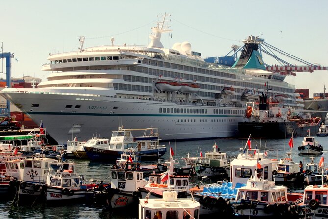 Cruise Pick up + Tour Valparaiso Viña del Mar Drop off at Hotel in Santiago - Viña del Mar: beaches, the Flower Clock, and a famous Moai
