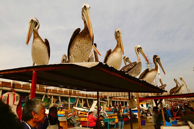 Cruise Ship Transfer to Valparaiso Port with 6 Hour tour + Winery - Cerro Alegre: Lunch, Souvenirs, and a Little Freedom