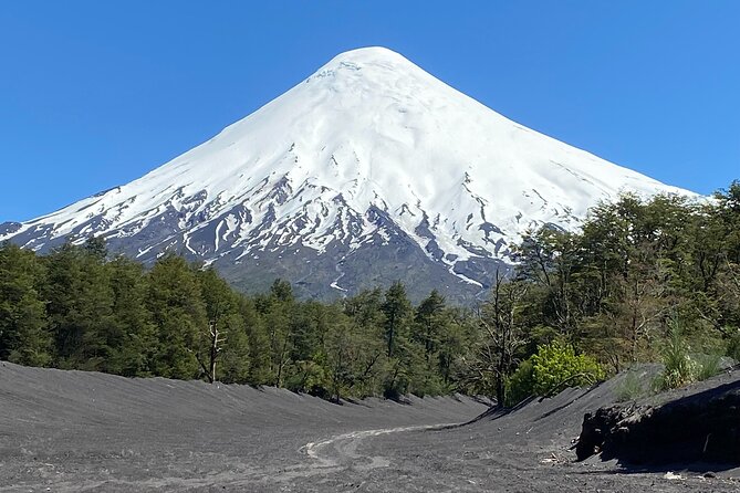 Cruise Shore Private Excursion Osorno Volcano & Petrohué Falls - Petrohué Waterfalls: do not rush this stop