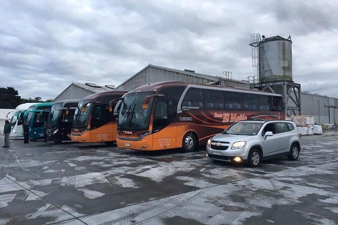 Cruise Shore Private Excursion Osorno Volcano & Petrohué Falls - Puerto Varas gives the day a town finish