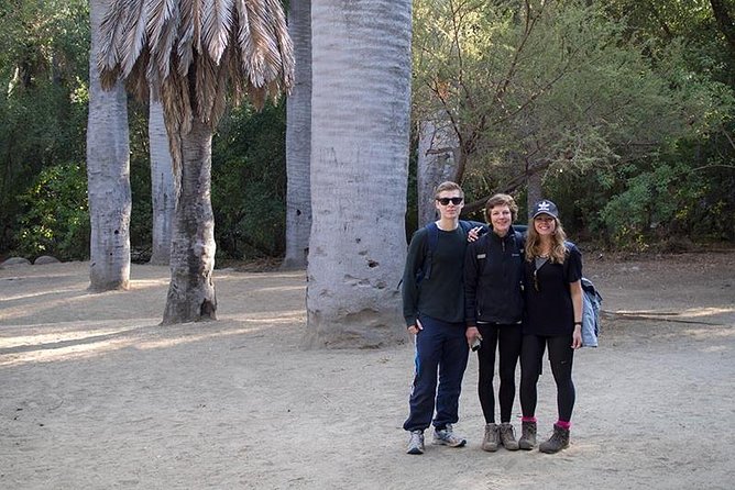 Darwin's Route: Traversing the Chilean Palm Forest - Morning Hike Through the Ocoa Palm Forest