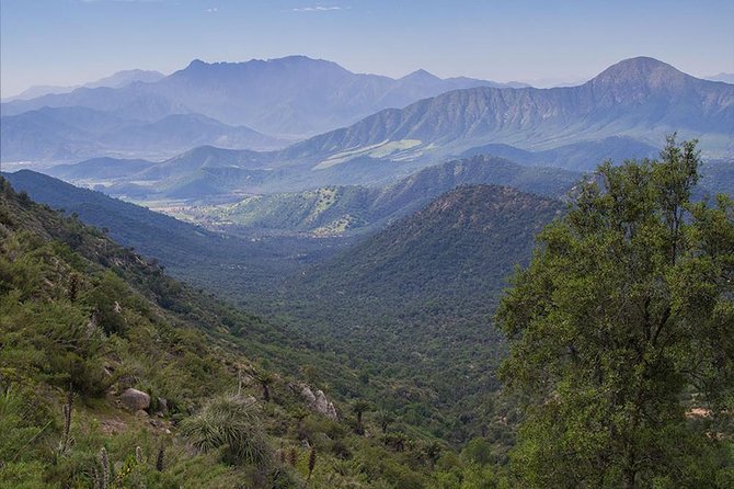 Darwin's Route: Traversing the Chilean Palm Forest - What the $221.80 Price Really Covers