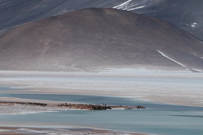 Day Tour to Piedras Rojas and Altiplanic and Chaxa Lagoons - Six things to know before you book
