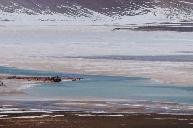 Day Tour to Piedras Rojas and Altiplanic and Chaxa Lagoons - Is $160 a fair price?