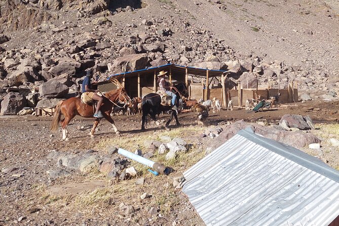 Day Trip Cajón del Maipo Embalse del Yeso Hot Springs Adventure - What the Positive Feedback Tells You